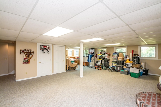 basement featuring carpet floors and a paneled ceiling