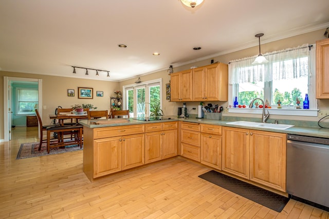 kitchen featuring pendant lighting, sink, stainless steel dishwasher, kitchen peninsula, and light wood-type flooring