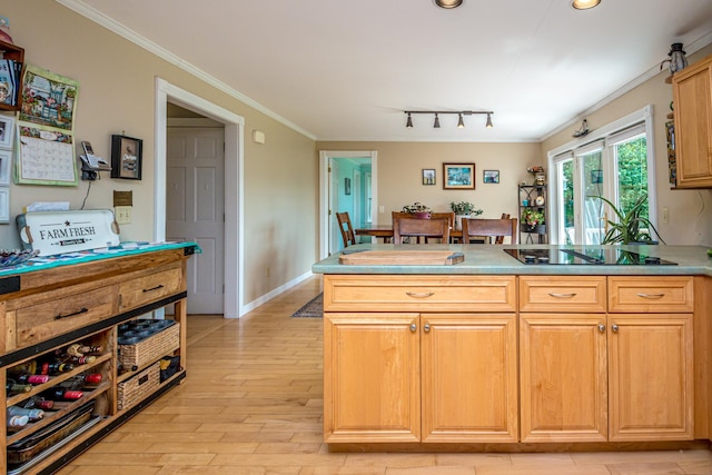 kitchen with ornamental molding, black electric cooktop, and light hardwood / wood-style floors