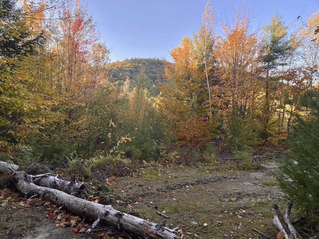 Willis Bean Rd, Eaton NH, 03832 land for sale