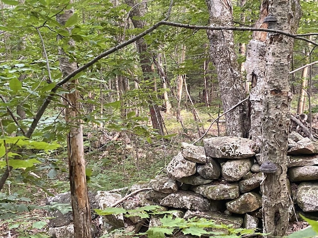 Willis Bean Rd, Eaton, NH 03832