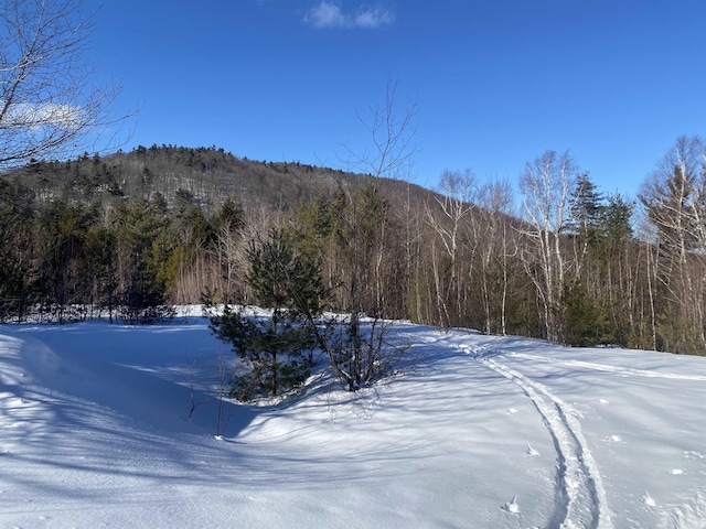 Listing photo 3 for Willis Bean Rd, Eaton NH 03832