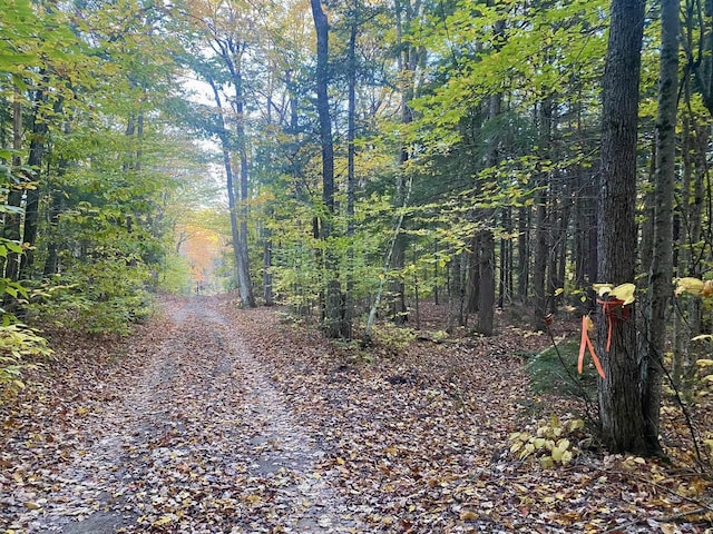 Willis Bean Rd, Eaton, NH 03832