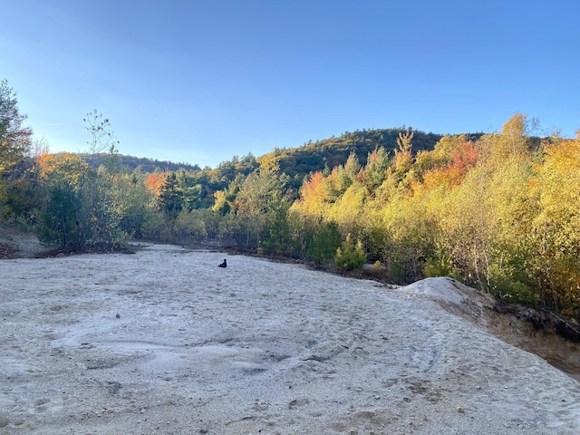 Willis Bean Rd, Eaton, NH 03832
