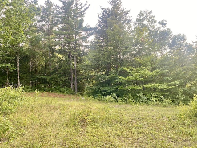Willis Bean Rd, Eaton, NH 03832