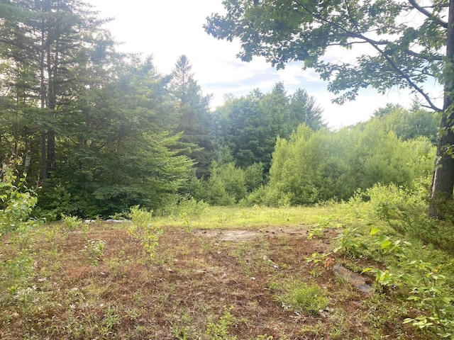 Willis Bean Rd, Eaton, NH 03832