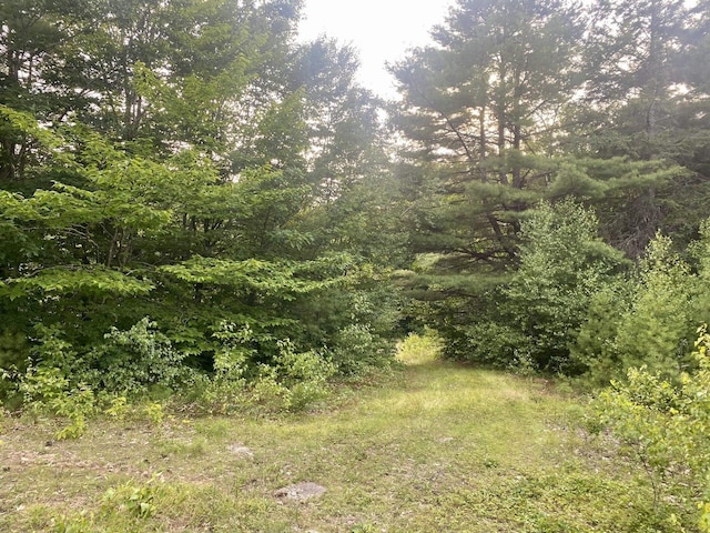 Willis Bean Rd, Eaton, NH 03832