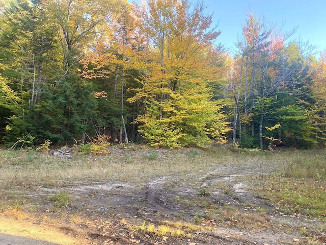 Willis Bean Rd, Eaton, NH 03832
