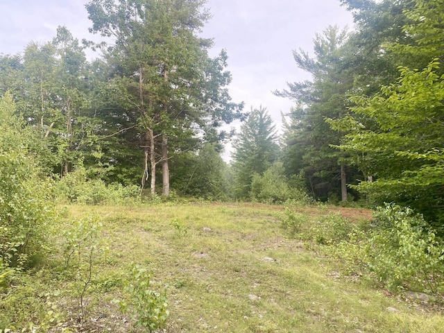 Willis Bean Rd, Eaton, NH 03832