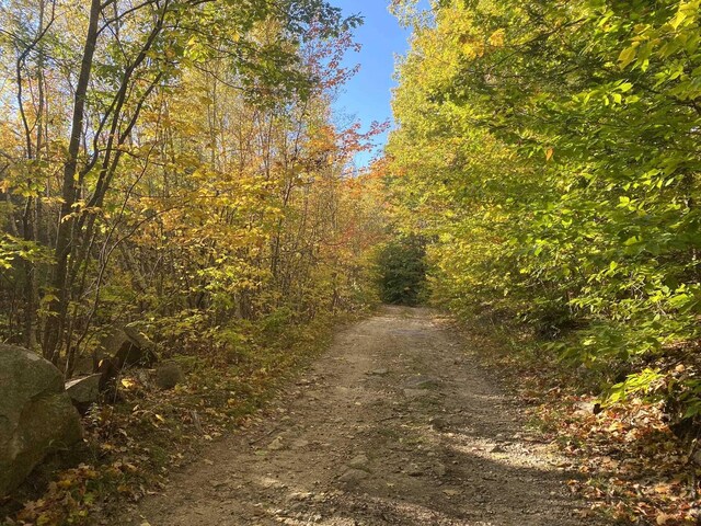 Willis Bean Rd, Eaton, NH 03832