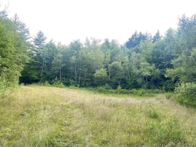 Willis Bean Rd, Eaton, NH 03832
