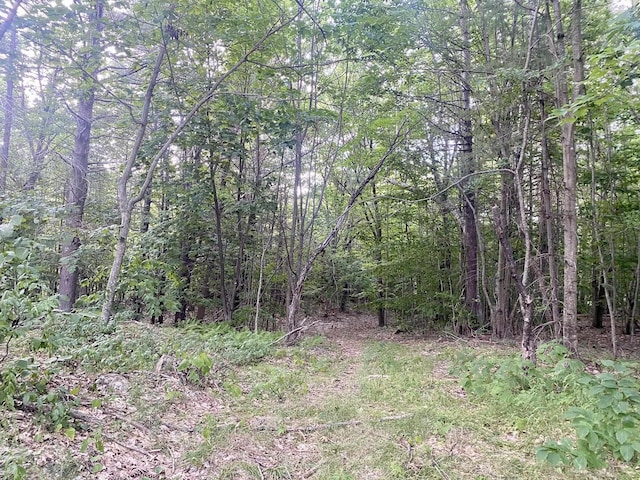 Willis Bean Rd, Eaton, NH 03832