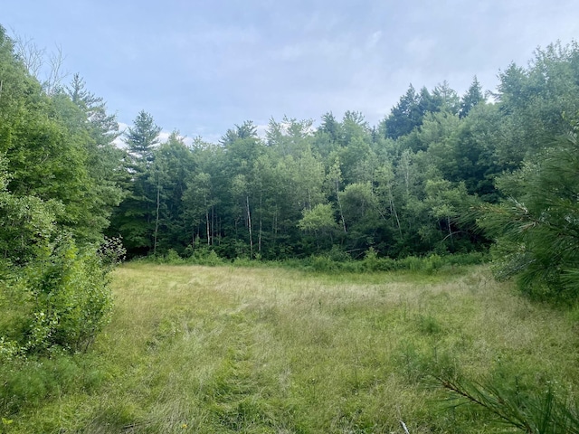 Willis Bean Rd, Eaton, NH 03832