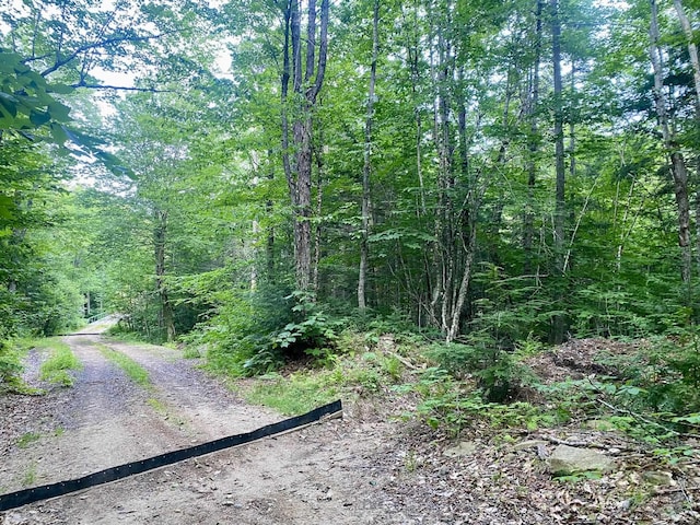 Willis Bean Rd, Eaton, NH 03832