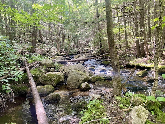 Willis Bean Rd, Eaton, NH 03832