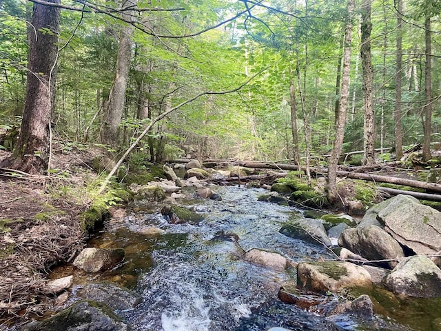 Willis Bean Rd, Eaton, NH 03832