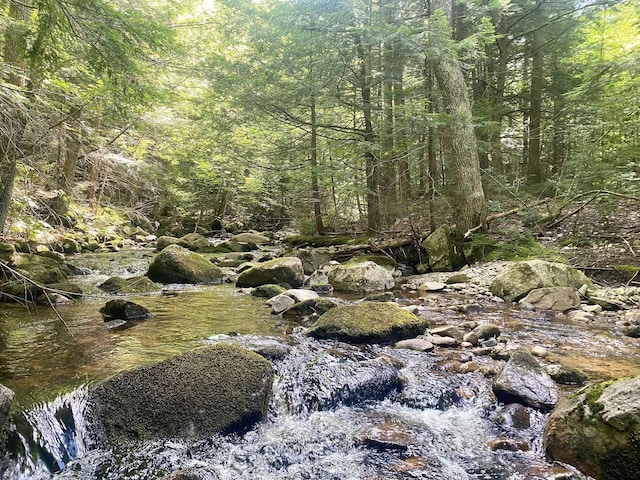 Willis Bean Rd, Eaton, NH 03832