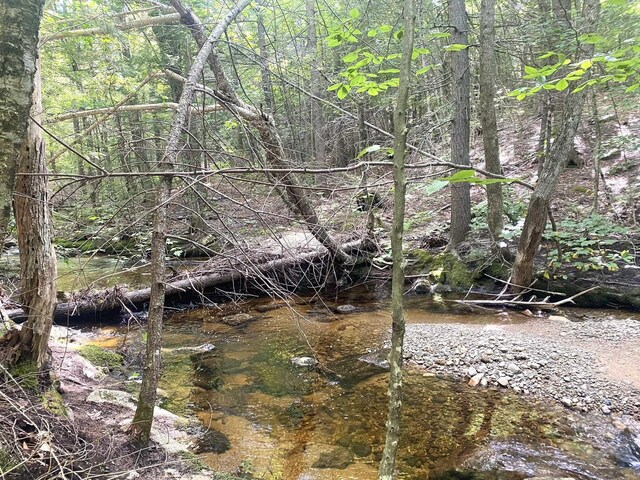 Willis Bean Rd, Eaton, NH 03832