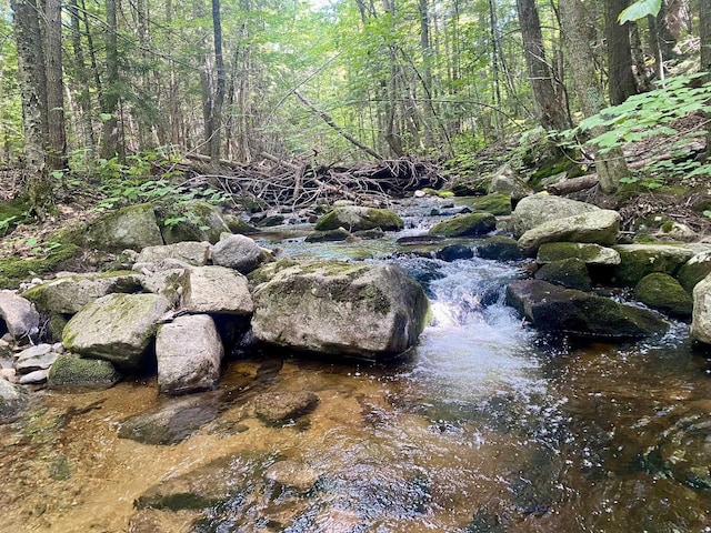 Willis Bean Rd, Eaton, NH 03832