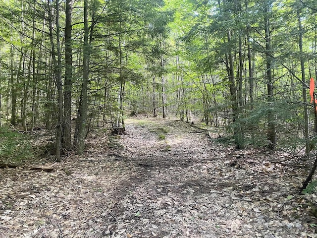 Willis Bean Rd, Eaton, NH 03832