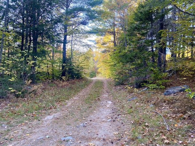 Willis Bean Rd, Eaton, NH 03832