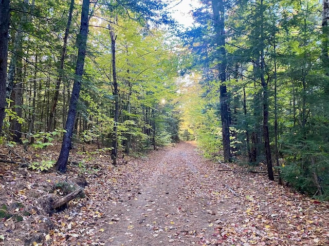 Willis Bean Rd, Eaton, NH 03832