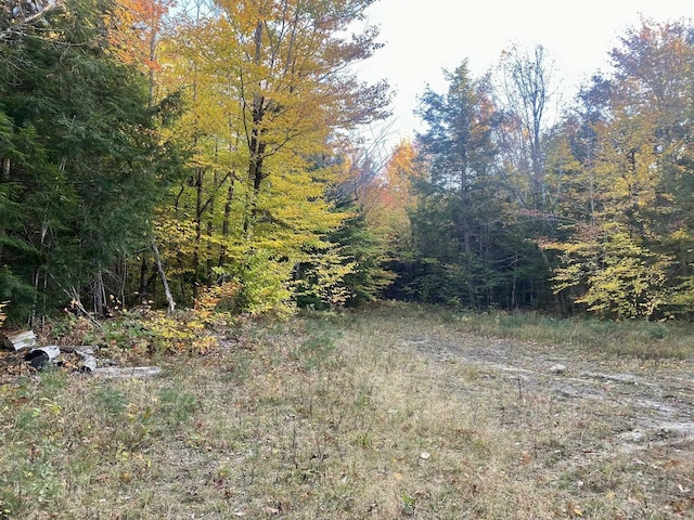 Willis Bean Rd, Eaton, NH 03832