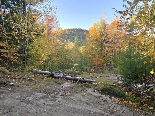 Willis Bean Rd, Eaton, NH 03832