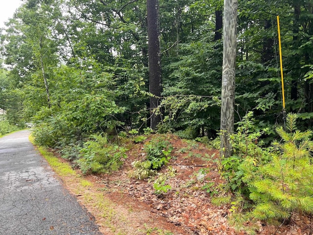 LOT84 Franconia Dr, New Durham NH, 03855 land for sale