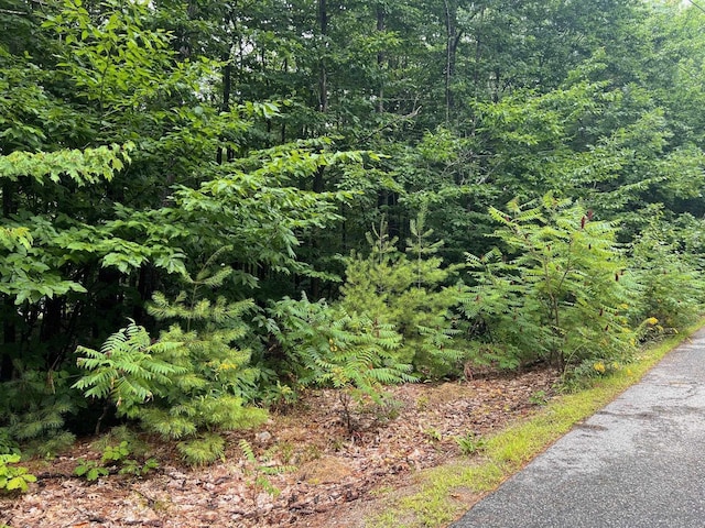 Listing photo 2 for LOT84 Franconia Dr, New Durham NH 03855