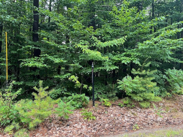 Listing photo 3 for LOT84 Franconia Dr, New Durham NH 03855