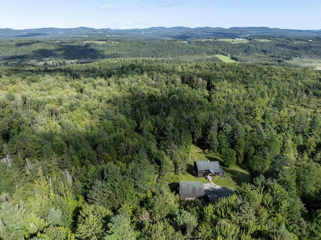 drone / aerial view featuring a mountain view and a view of trees