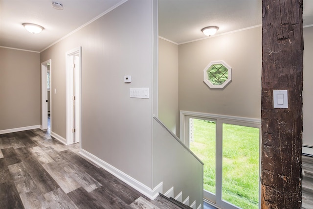 entryway featuring crown molding and wood-type flooring