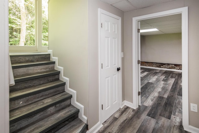 staircase with hardwood / wood-style flooring and a paneled ceiling