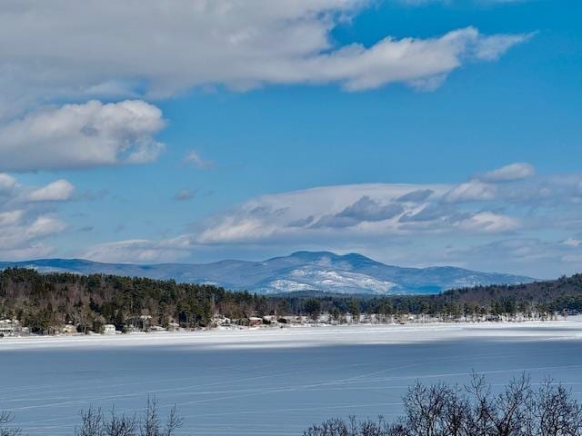 view of mountain feature featuring a water view and a view of trees