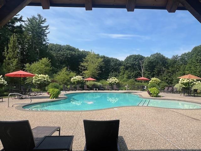 pool with a patio area