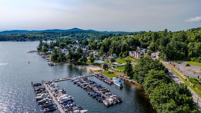 birds eye view of property with a view of trees and a water and mountain view