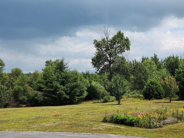 view of landscape featuring a rural view