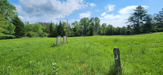 view of local wilderness