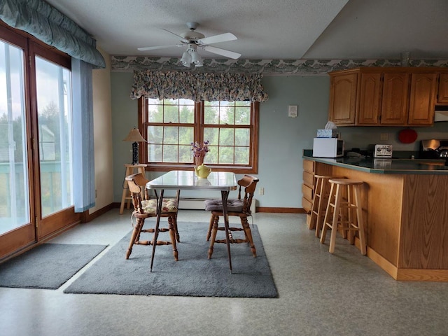 dining area with a wealth of natural light, ceiling fan, and a textured ceiling