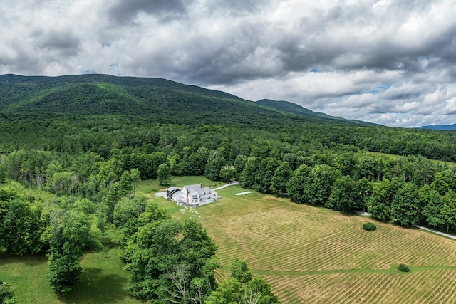aerial view with a mountain view and a view of trees