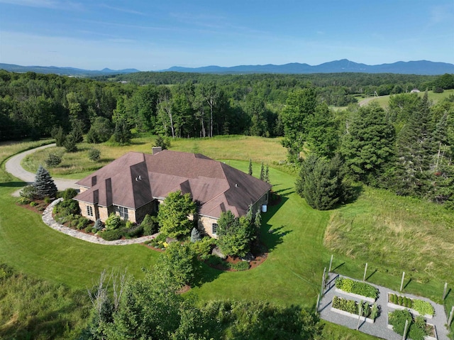 birds eye view of property featuring a mountain view