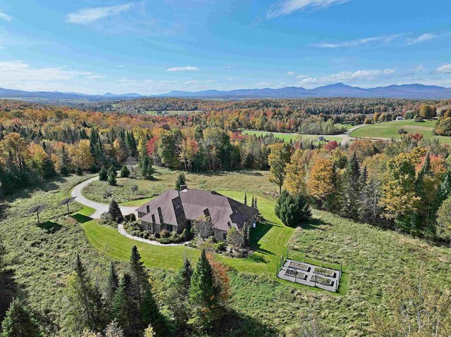 birds eye view of property featuring a mountain view