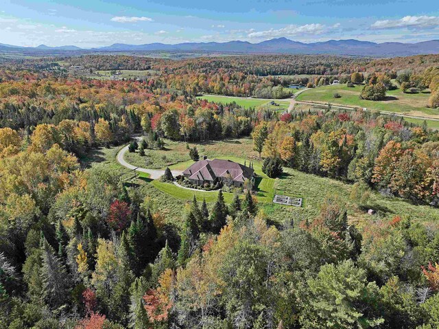 bird's eye view with a mountain view