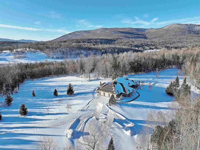 property view of mountains