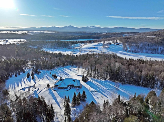 snowy aerial view with a mountain view