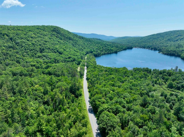 00 Cape Moonshine Rd, Wentworth NH, 03282 land for sale