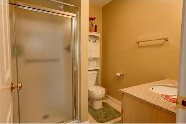 full bath with vanity, a shower stall, and toilet