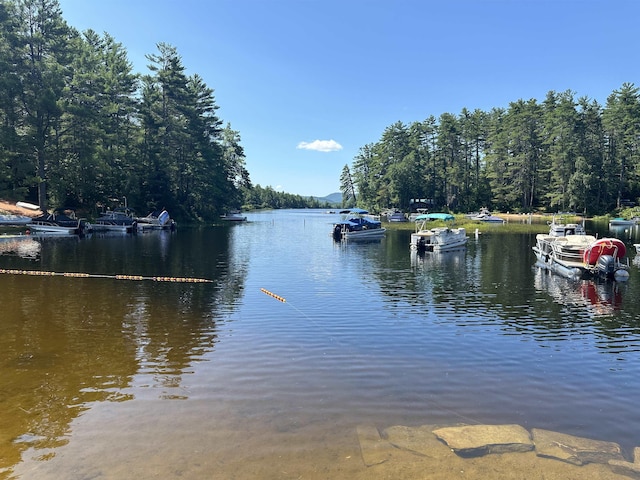 water view featuring a boat dock and a view of trees