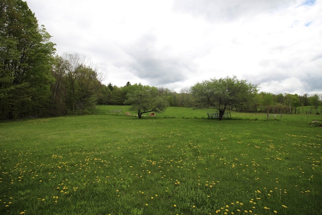 view of yard featuring a rural view